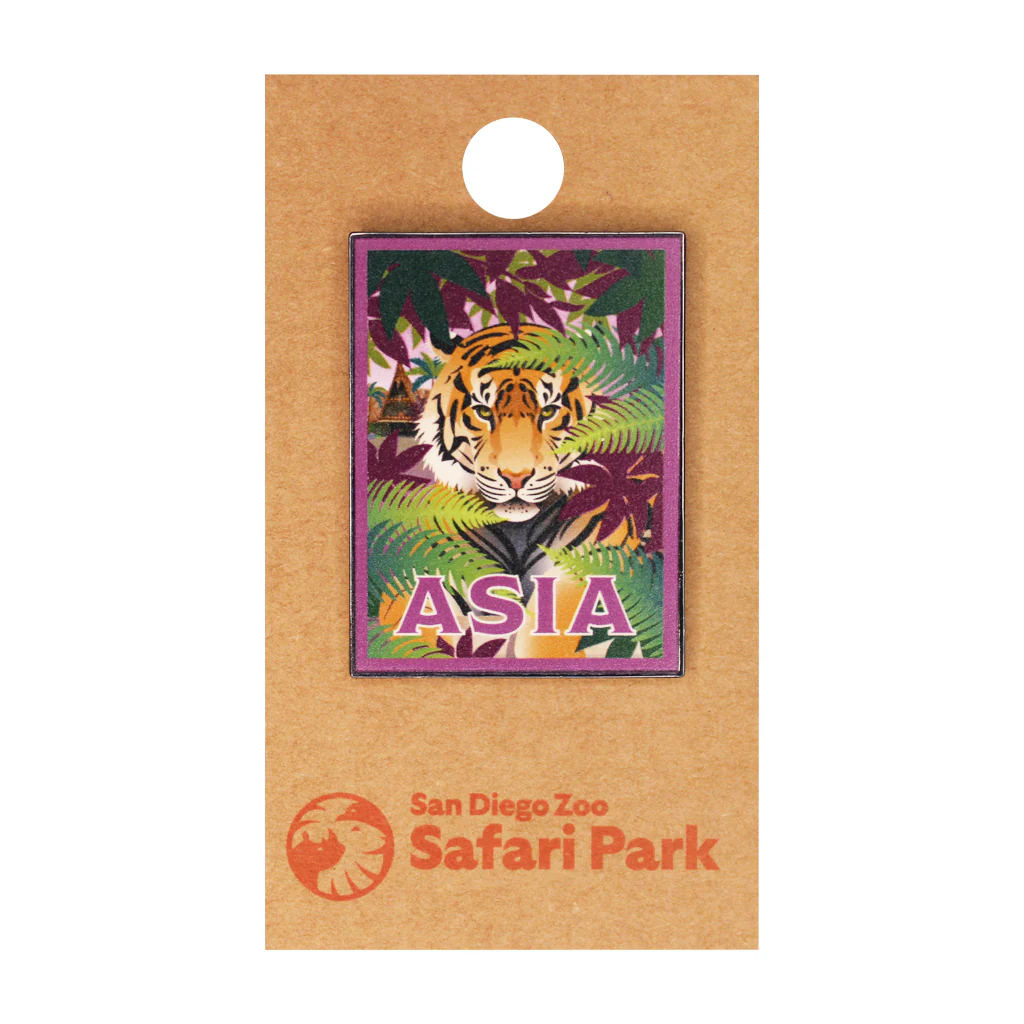 Asia Tiger Trading Pin