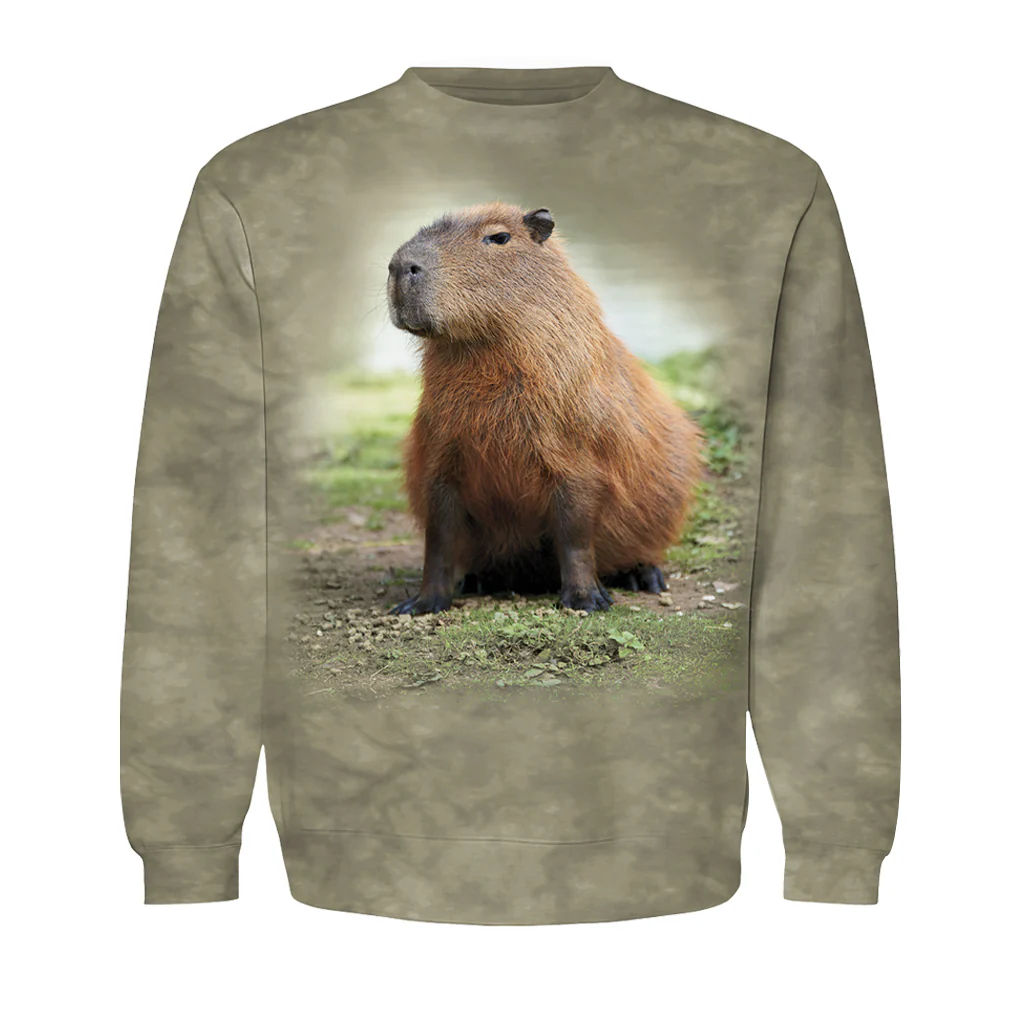 Capybara Tie-Dyed Kids Sweatshirt