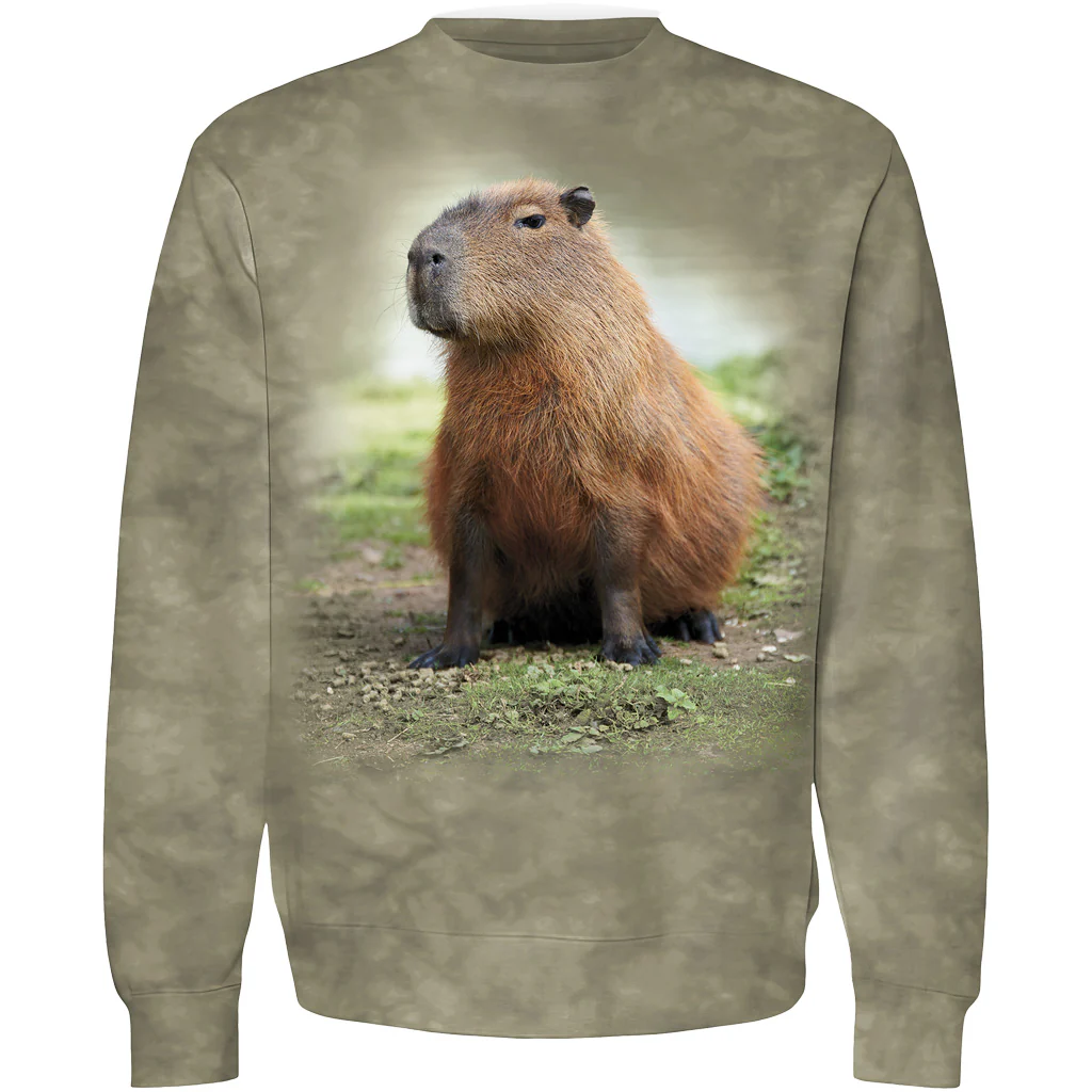 Capybara Tie-Dyed Sweatshirt