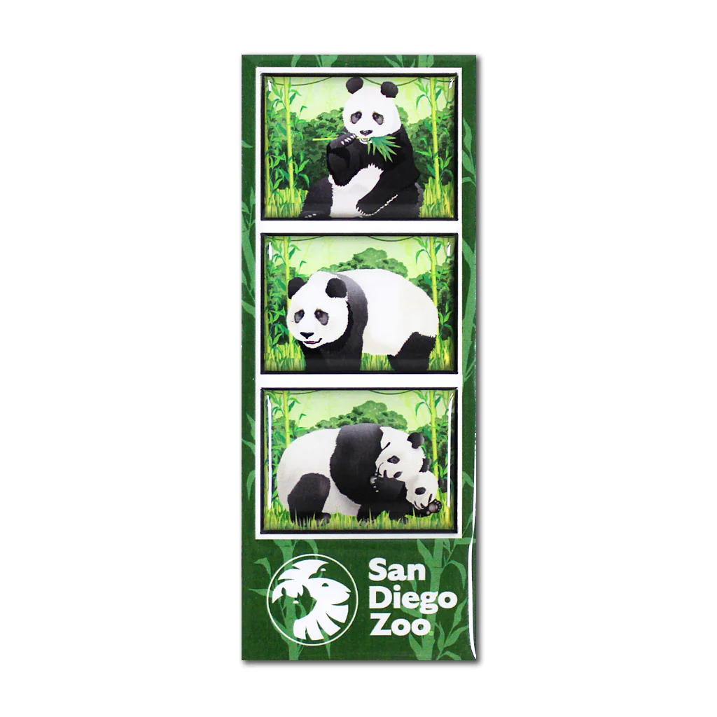 Panda Film Strip Magnet
