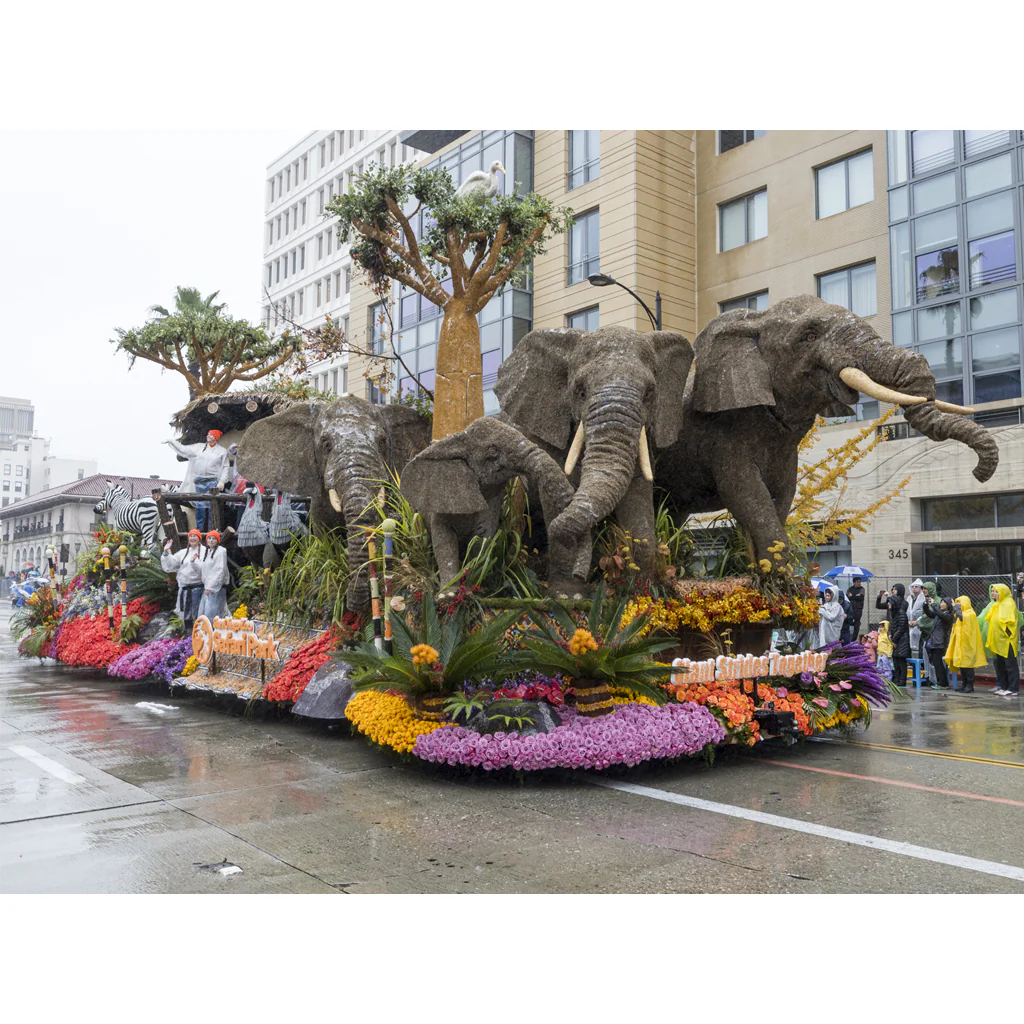 Giant Strides Elephant Ornament - Image 2