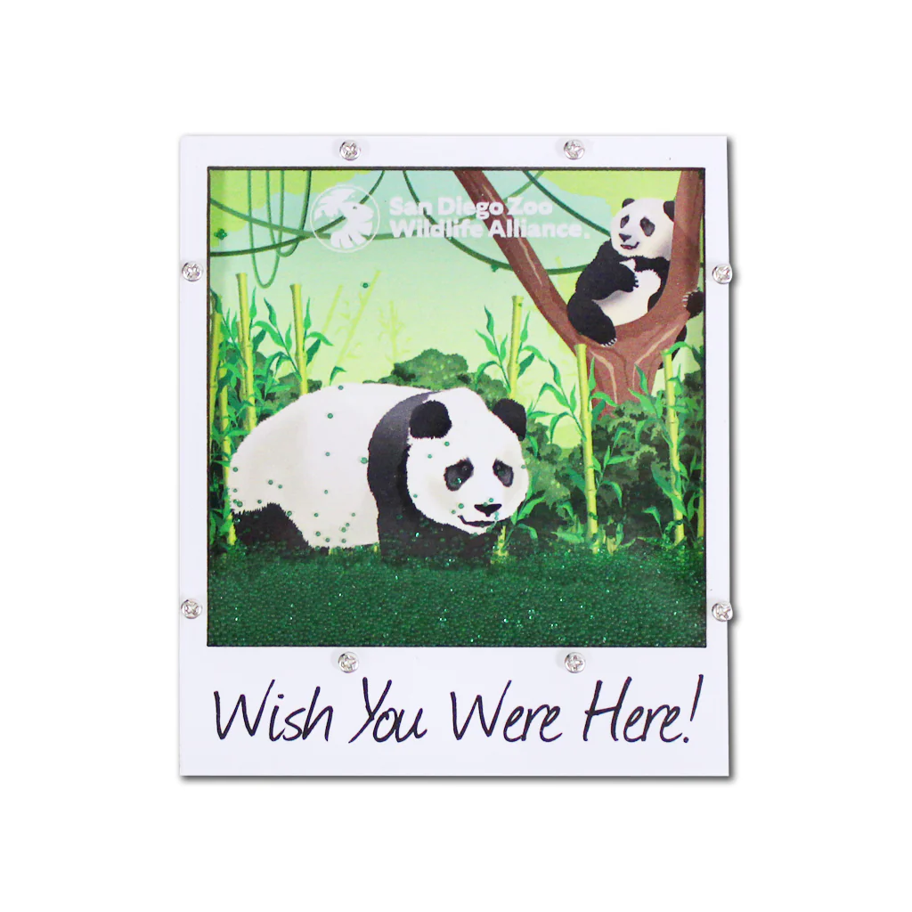 Wish You Were Here Panda Magnet